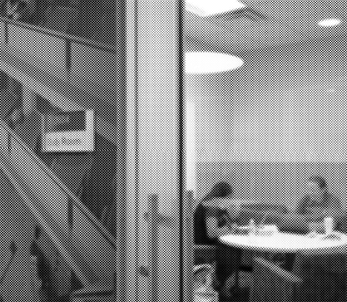 就业机会+志愿服务